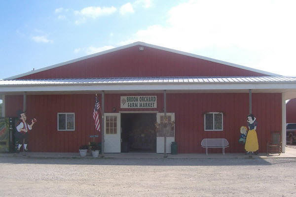 Broom Orchard